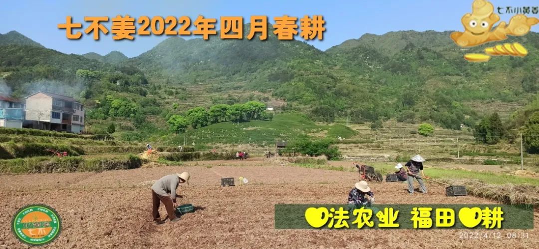 七不姜2022年四月春耕图 七不姜2022年四月春耕图