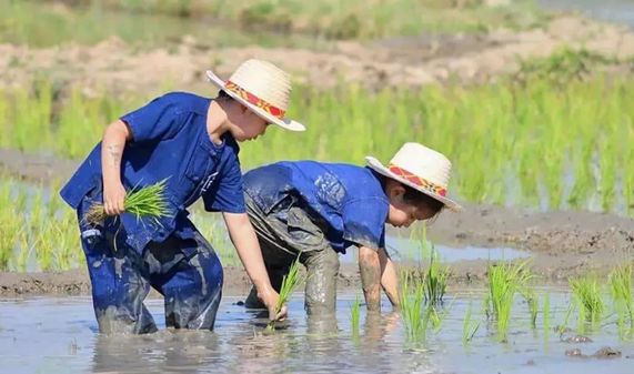 泰国这家亲子农场凭什么成为学习典范? 吸引全世界的目光 泰国这家亲子农场凭什么成为学习典范? 吸引全世界的目光