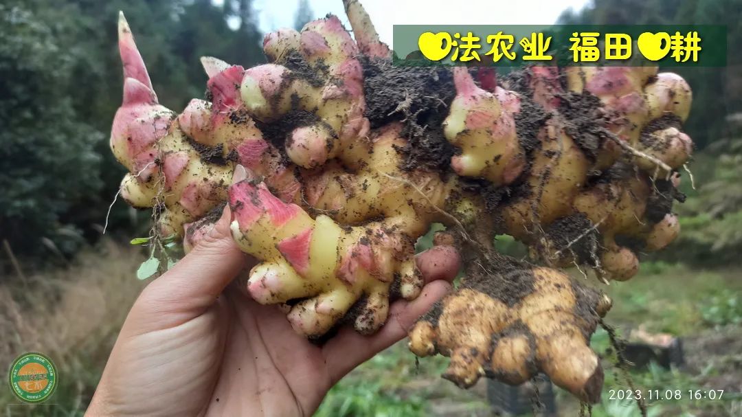2024年4月春暖花开！春耕优惠“卷”