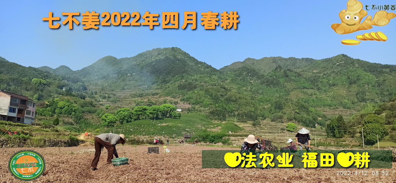 姜粉治愈腿痒案例2020/7/28-七不姜 生姜养生网-明德CSA生态姜园&明安农业