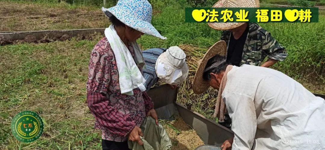 新冠病毒急救处理方法 2021.05.02 及基金会新冠肺炎案例汇总-七不姜 生姜养生网-明德CSA生态姜园&明安农业