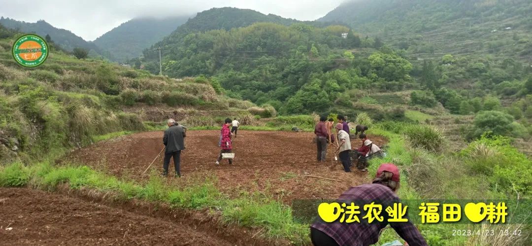 2023年4月-5月 七不姜春播图!家庭厨房生姜如何去皮切片 七不姜5月促销优惠劵 2023年4月-5月 七不姜春播图!家庭厨房生姜如何去皮切片 七不姜5月促销优惠劵