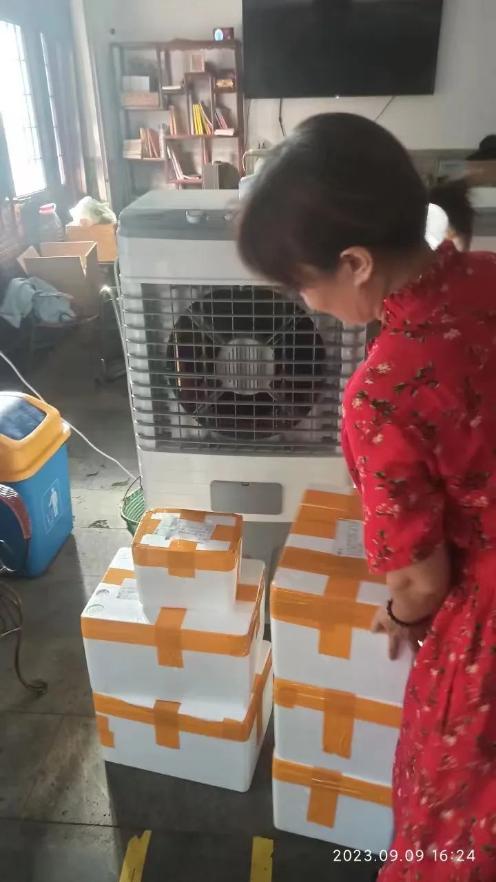 生姜赞歌-浙江仙居 七不小黄姜 鲜嫩姜 新鲜 超新上市 每周超鲜嫩姜2斤/5斤 生姜鲜姜2023年9月现采现发 生态自然