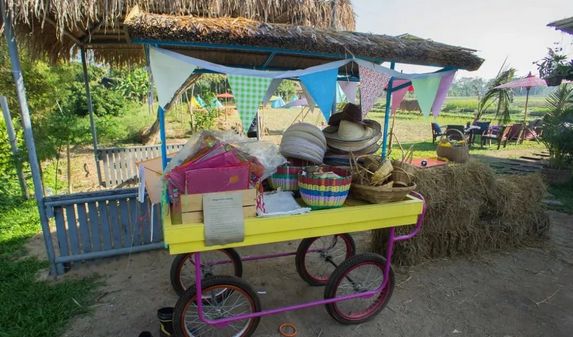 泰国Ginger Farm,30亩土地的亲子农场天天客流爆满! 泰国Ginger Farm,30亩土地的亲子农场天天客流爆满!