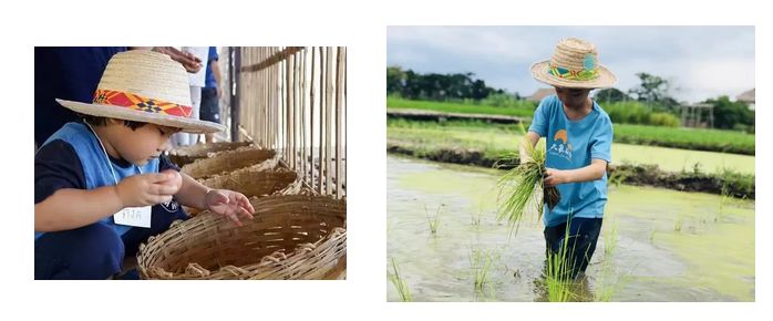 泰国Ginger Farm,30亩土地的亲子农场天天客流爆满! 泰国Ginger Farm,30亩土地的亲子农场天天客流爆满!