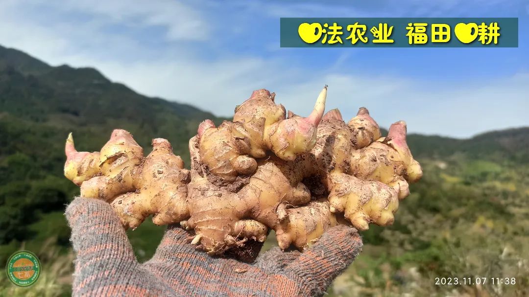 2024年4月春暖花开！春耕优惠“卷”