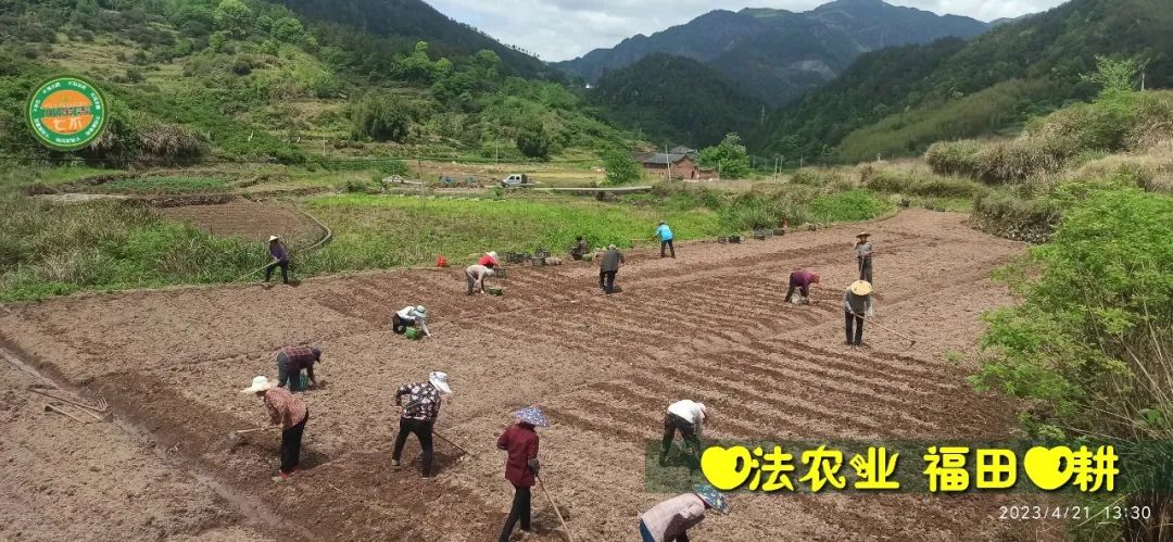 2023年4月-5月 七不姜春播图!家庭厨房生姜如何去皮切片 七不姜5月促销优惠劵 2023年4月-5月 七不姜春播图!家庭厨房生姜如何去皮切片 七不姜5月促销优惠劵