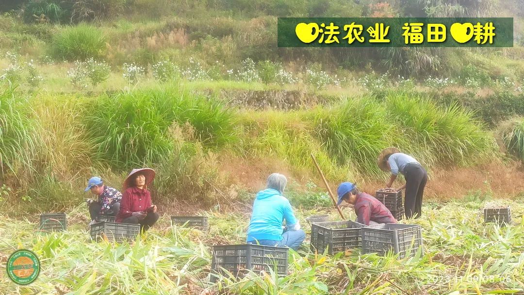 2024年4月春暖花开！春耕优惠“卷”