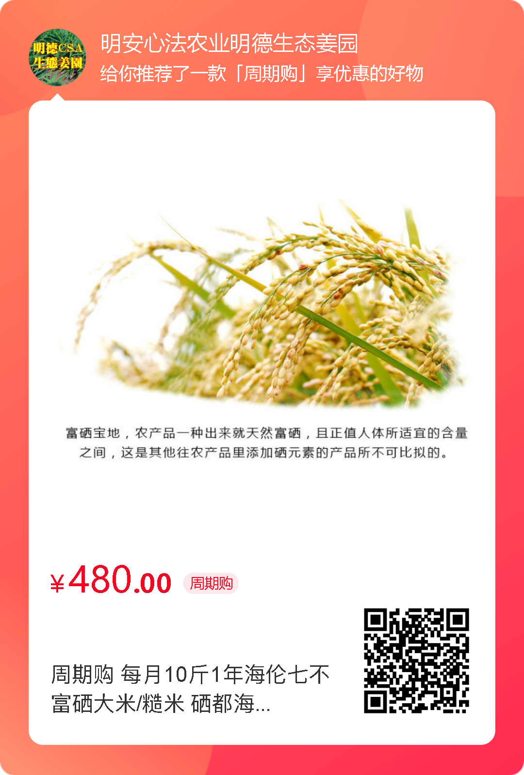 七不红米水稻9月11日上市现货销售-新米限时特惠 家庭大米专场:红米/糯米/ 黑米/泰两优217/中浙优H7 品种多质量优 七不红米水稻9月11日上市现货销售-新米限时特惠 家庭大米专场:红米/糯米/ 黑米/泰两优217/中浙优H7 品种多质量优