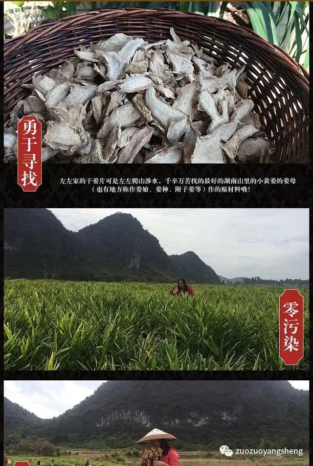 纯正湖南小黄姜干姜片,给您一份浓浓的爱…… 纯正湖南小黄姜干姜片,给您一份浓浓的爱……