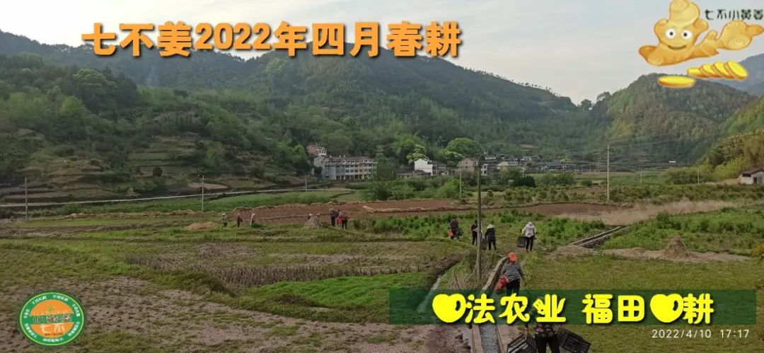 七不姜2022年四月春耕图 七不姜2022年四月春耕图