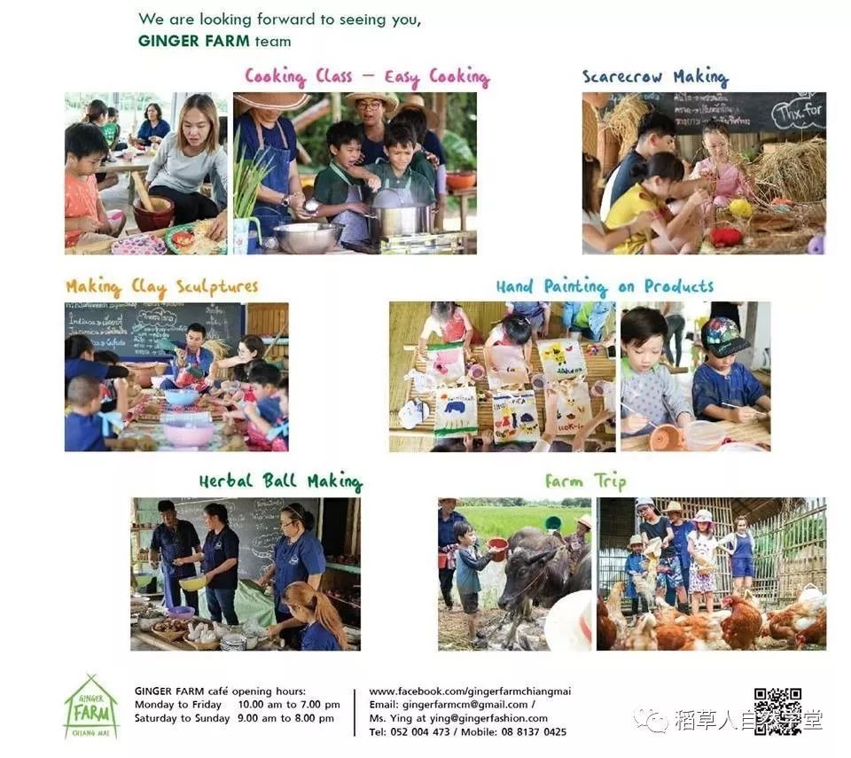 探访清迈Ginger Farm(2018.7.7) 探访清迈Ginger Farm(2018.7.7)