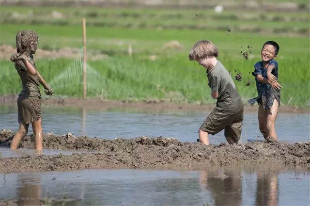 清迈 | 这家开业不久的亲子农庄,太让人动心。 清迈 | 这家开业不久的亲子农庄,太让人动心。