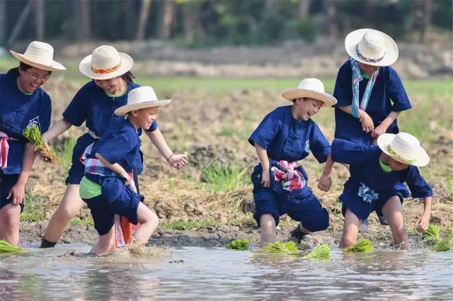清迈 | 这家开业不久的亲子农庄,太让人动心。 清迈 | 这家开业不久的亲子农庄,太让人动心。