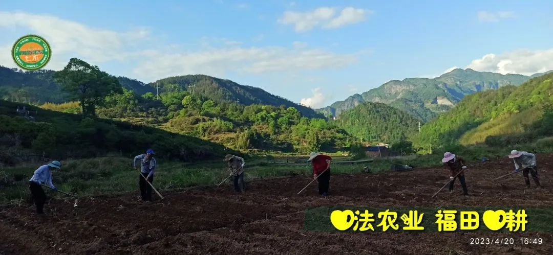 2023年4月-5月 七不姜春播图!家庭厨房生姜如何去皮切片 七不姜5月促销优惠劵 2023年4月-5月 七不姜春播图!家庭厨房生姜如何去皮切片 七不姜5月促销优惠劵