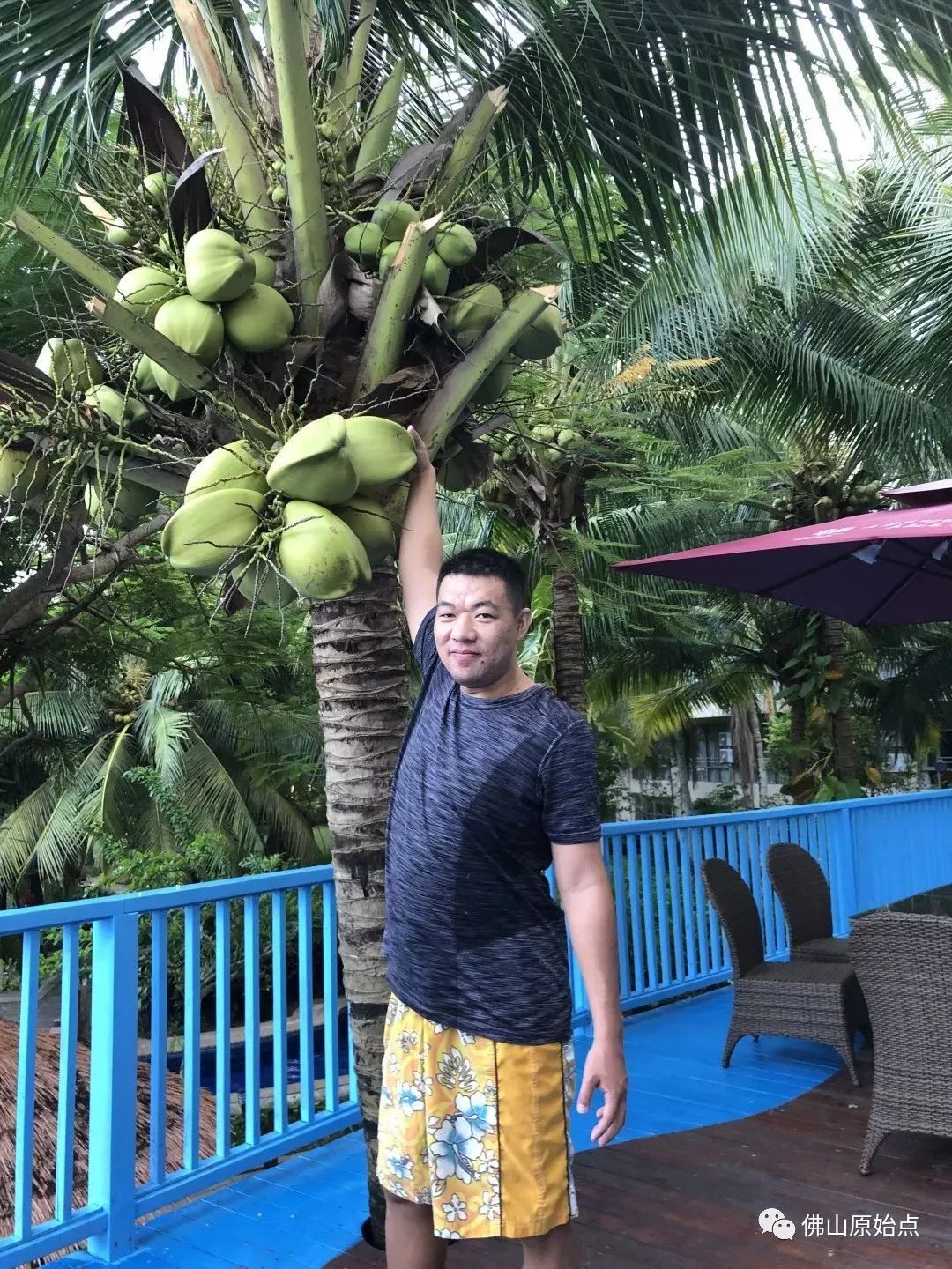 佛山原始点中心学员花开海南——原始点调理咳血心力衰竭等多种症状案例:打破失败的怪圈,从三次失败走向成功 佛山原始点中心学员花开海南——原始点调理咳血心力衰竭等多种症状案例:打破失败的怪圈,从三次失败走向成功