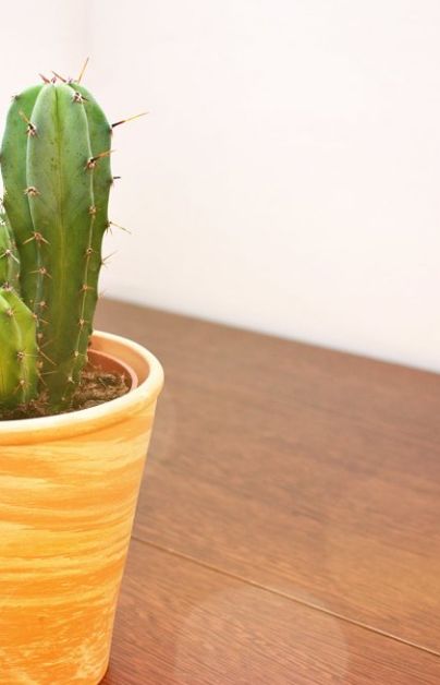 案例分享:原始点调理5天后排出胎死腹中案例 案例分享:原始点调理5天后排出胎死腹中案例