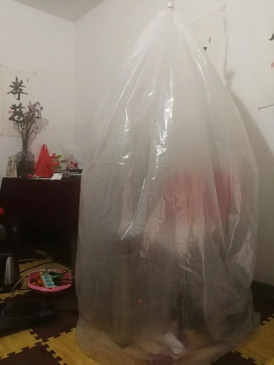 新冠肺炎【原始点】都能防治 发烧不退/并发症/患者——原始点抢救纪实 新冠肺炎【原始点】都能防治 发烧不退/并发症/患者——原始点抢救纪实