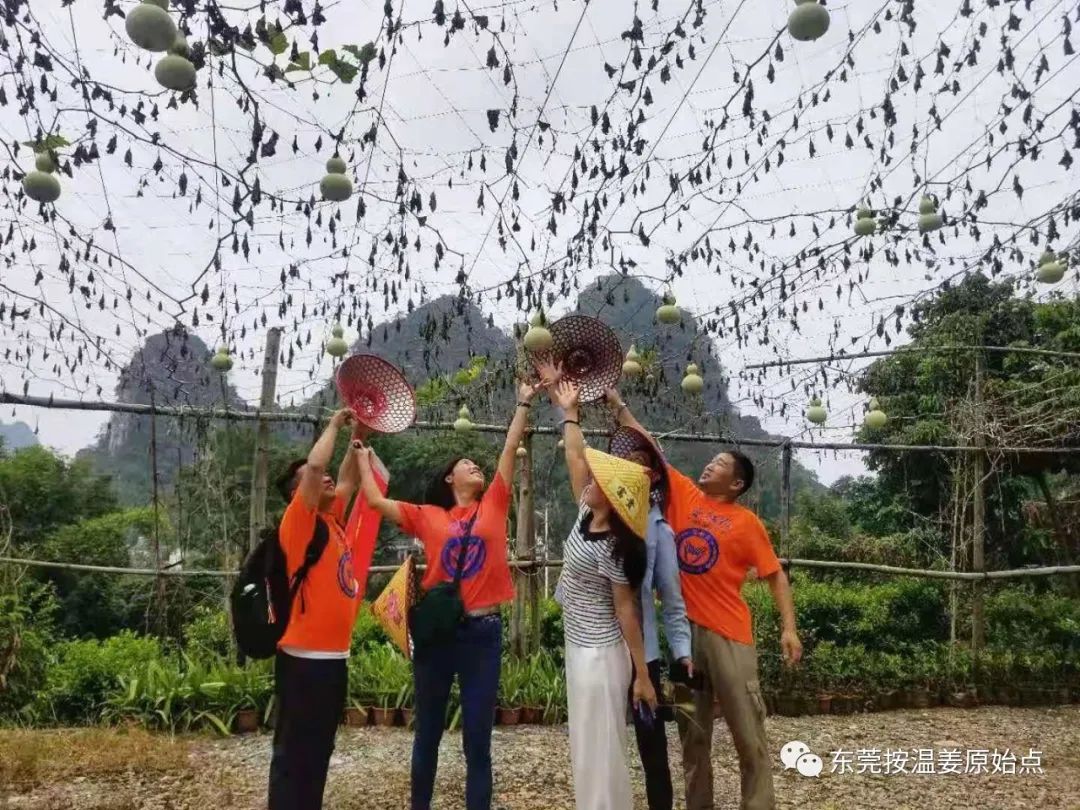 飞蚊症,耳鸣,胳膊疼 飞蚊症,耳鸣,胳膊疼