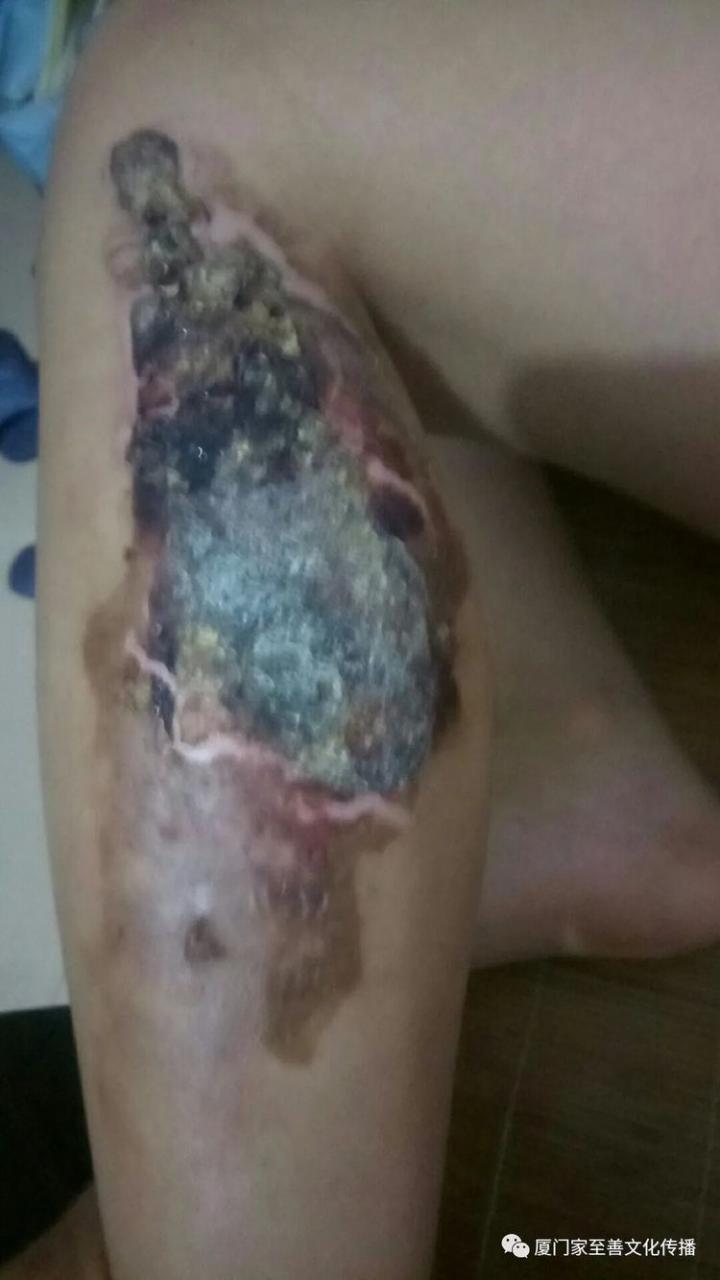 自动草稿 自动草稿