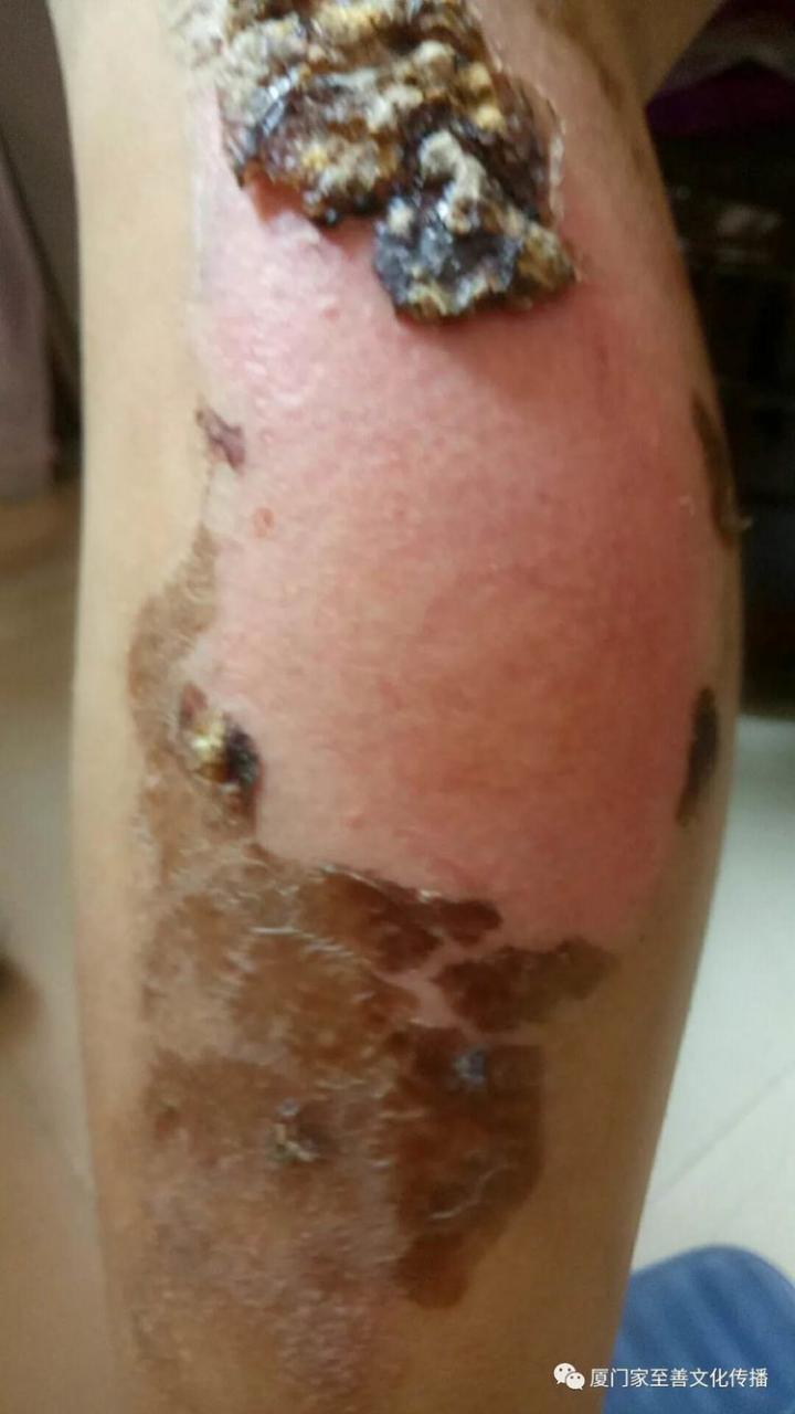 自动草稿 自动草稿