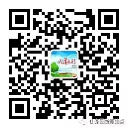 20年癫痫之苦! 20年癫痫之苦!