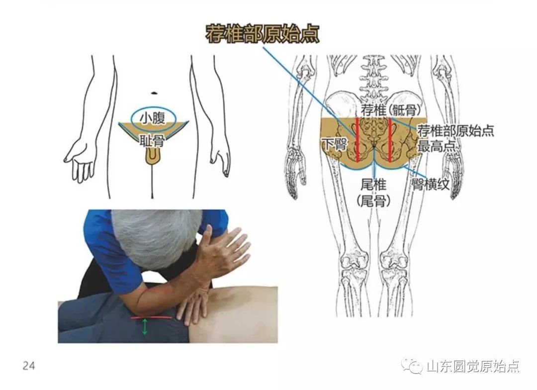 原始点精选案例、文章分类汇编(2021,9) 原始点精选案例、文章分类汇编(2021,9)