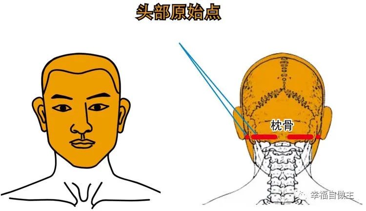 原始点调理头痛案例合集