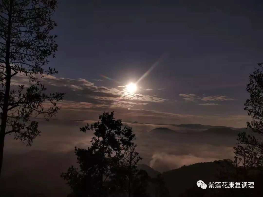 广西.南宁.紫莲花原始点公益中心 广西.南宁.紫莲花原始点公益中心