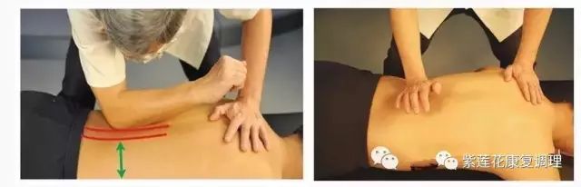 广西.南宁.紫莲花原始点公益中心 广西.南宁.紫莲花原始点公益中心