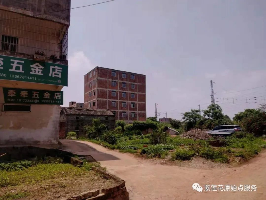 广西.南宁.紫莲花原始点公益中心 广西.南宁.紫莲花原始点公益中心